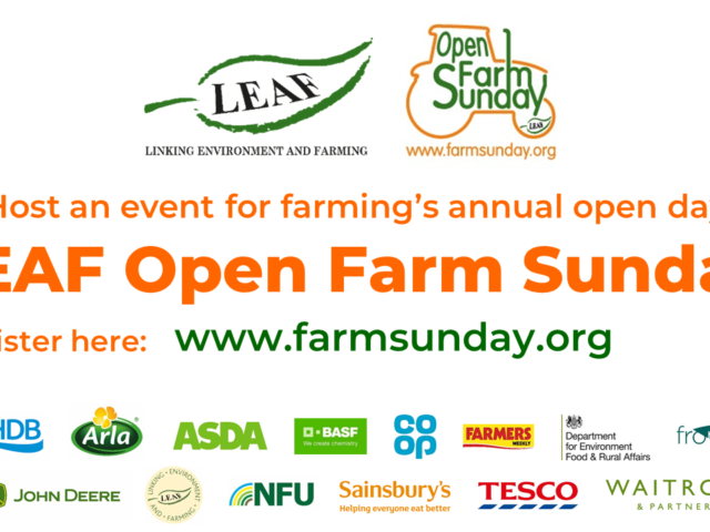 open farm sunday