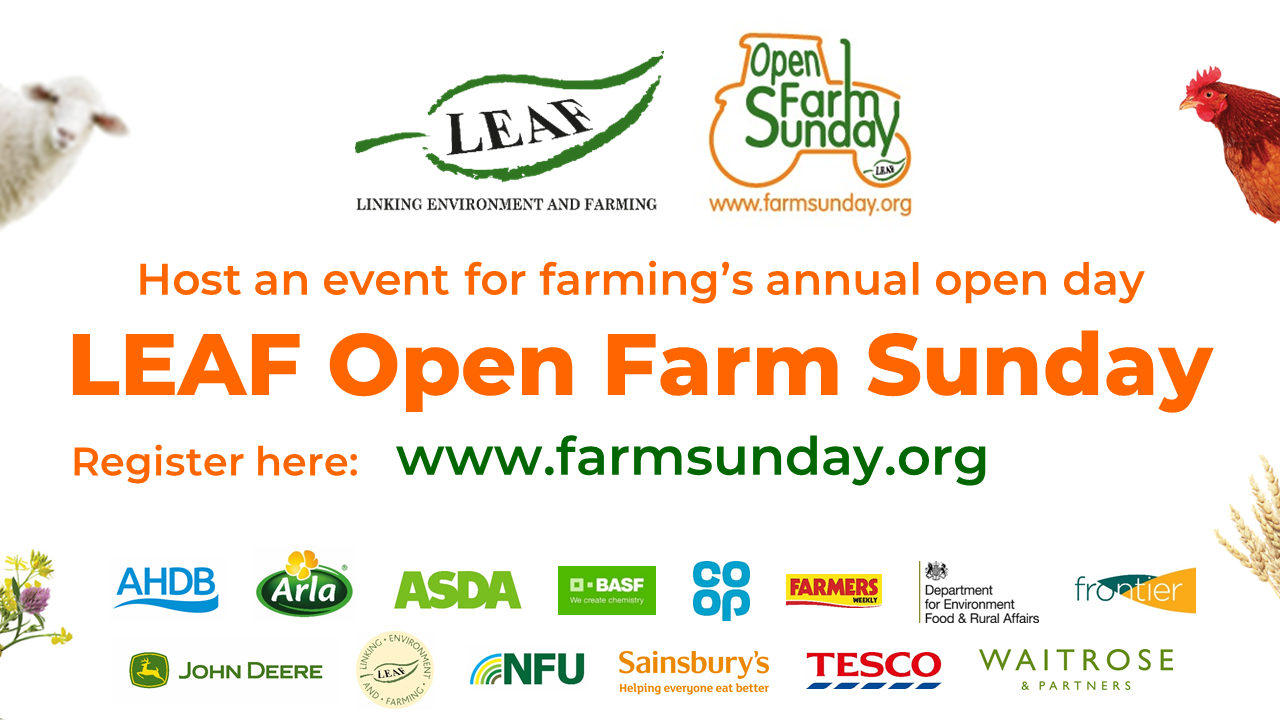 open farm sunday