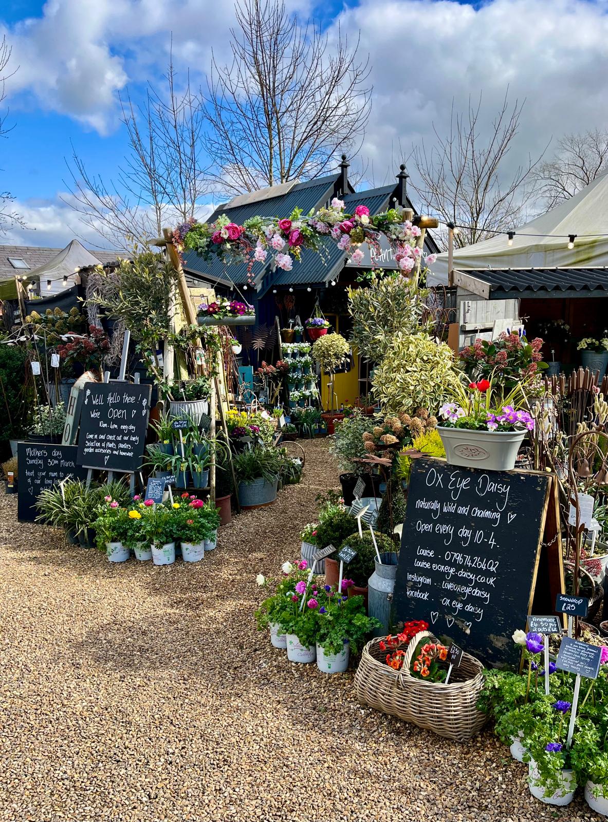 Garden Display